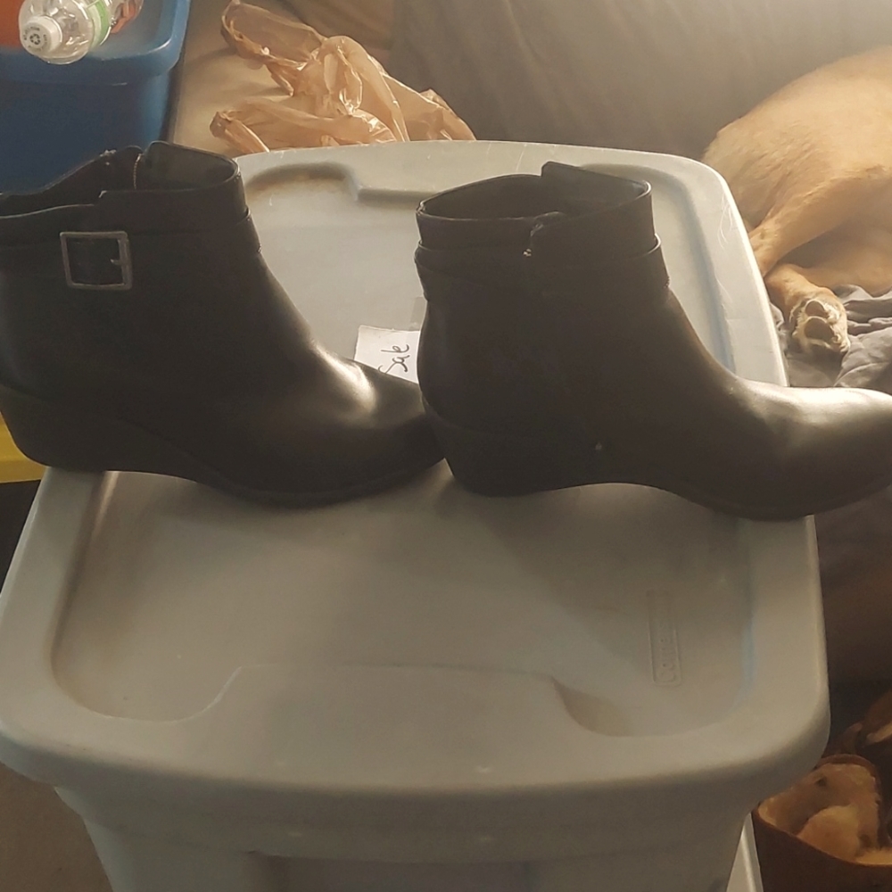 Comfort plus by Predictions